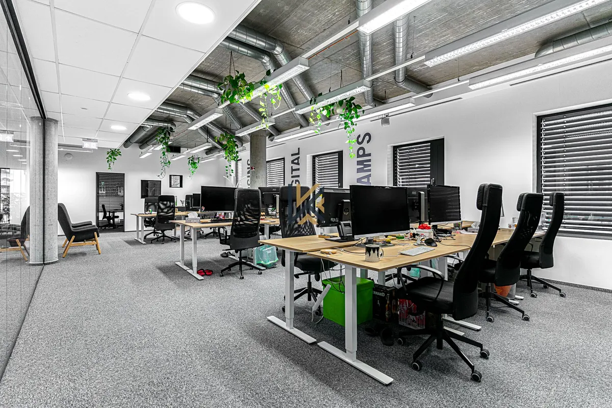Fotka 3 z 15